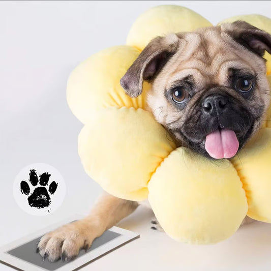 🐾 Pootafdruk Fotolijst – Herinner je huisdier voor altijd!